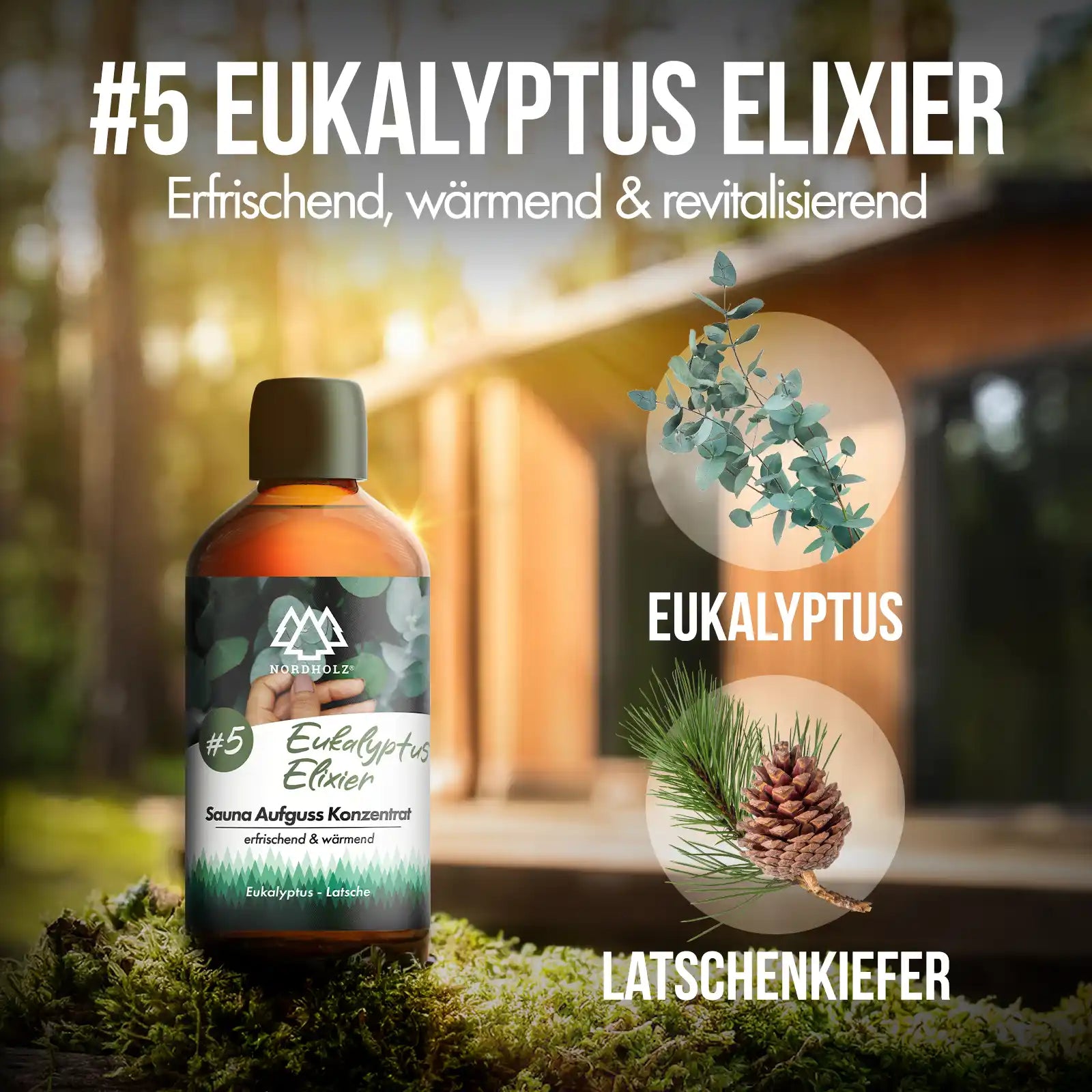 Sauna Aufguss Konzentrat #5 Eukalyptus Elixier