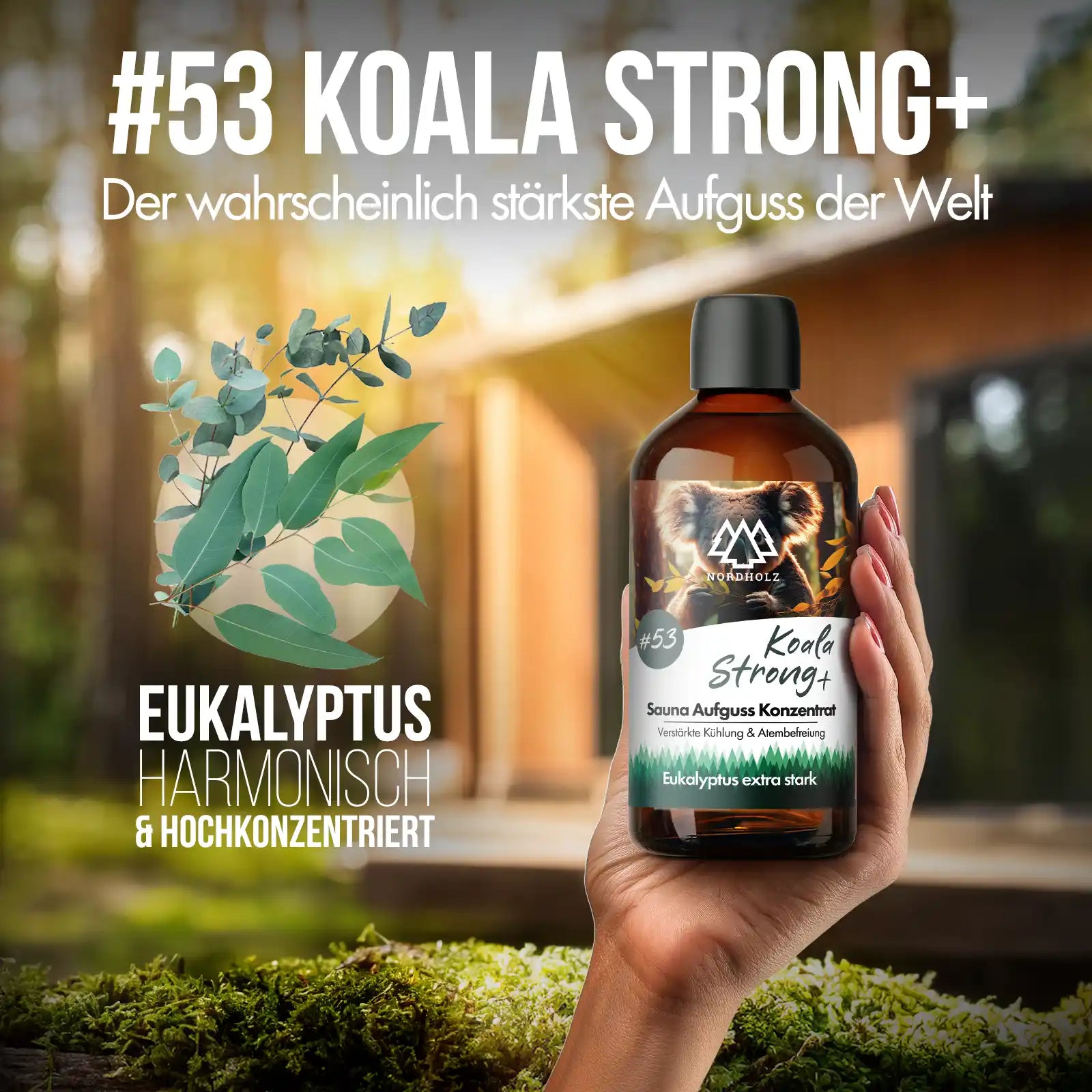 Sauna Aufguss Konzentrat #53 Koala Strong+