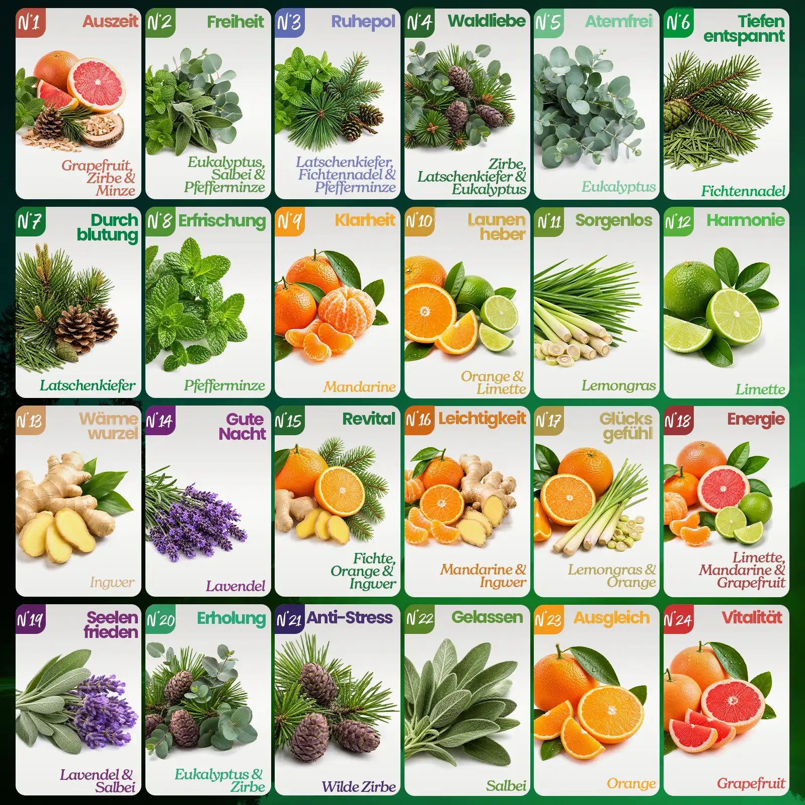 Bio-Sauna Aufguss Discovery Box