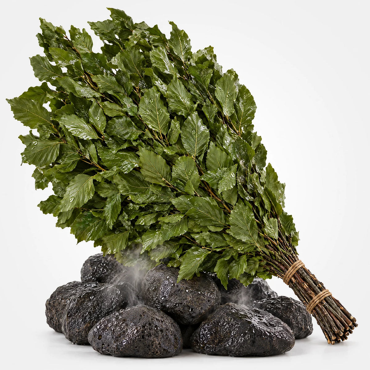Sauna Wenik Buche XXL auf Saunasteinen #Sorte_Buche · XXL
