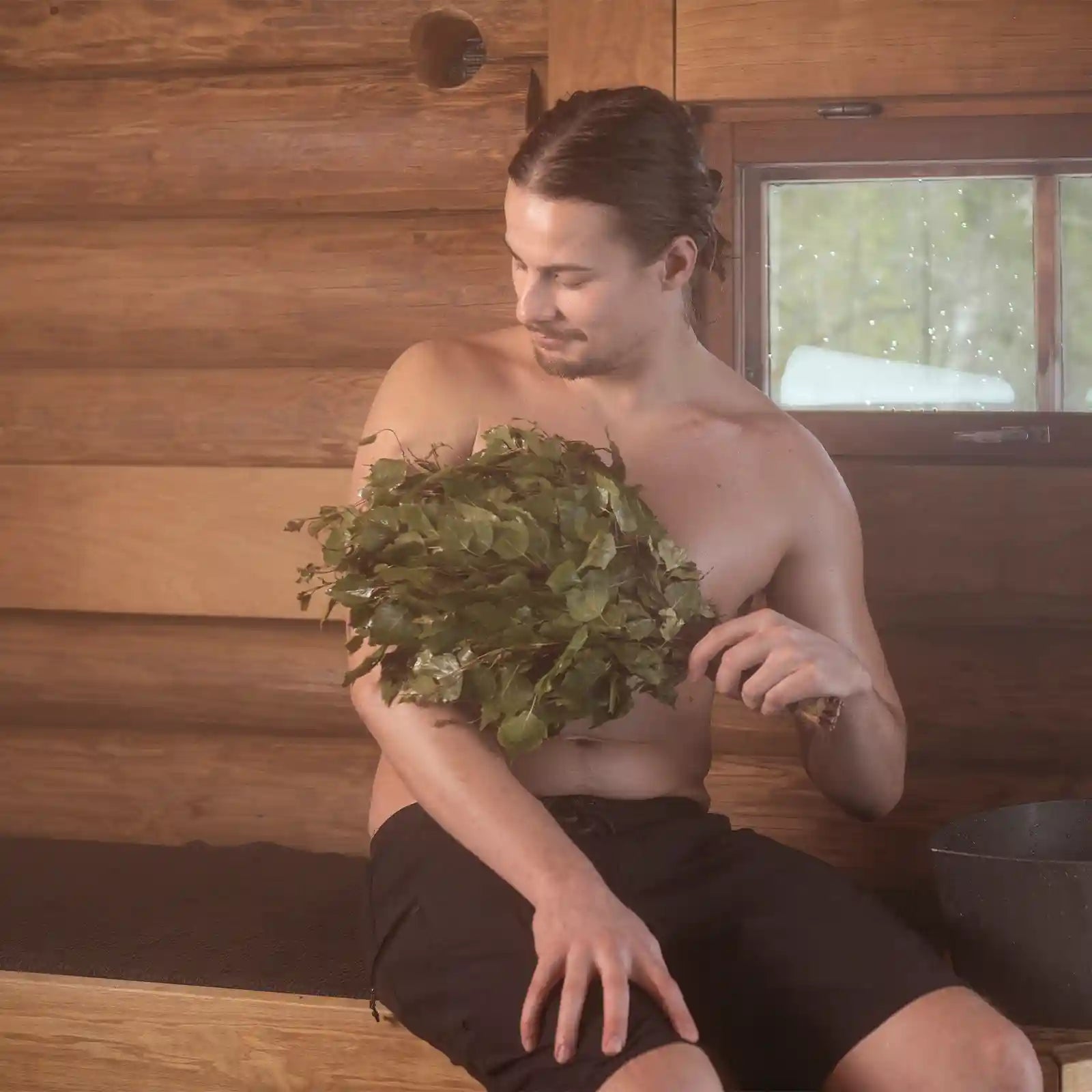 Birkenreisig getrocknet Wenik