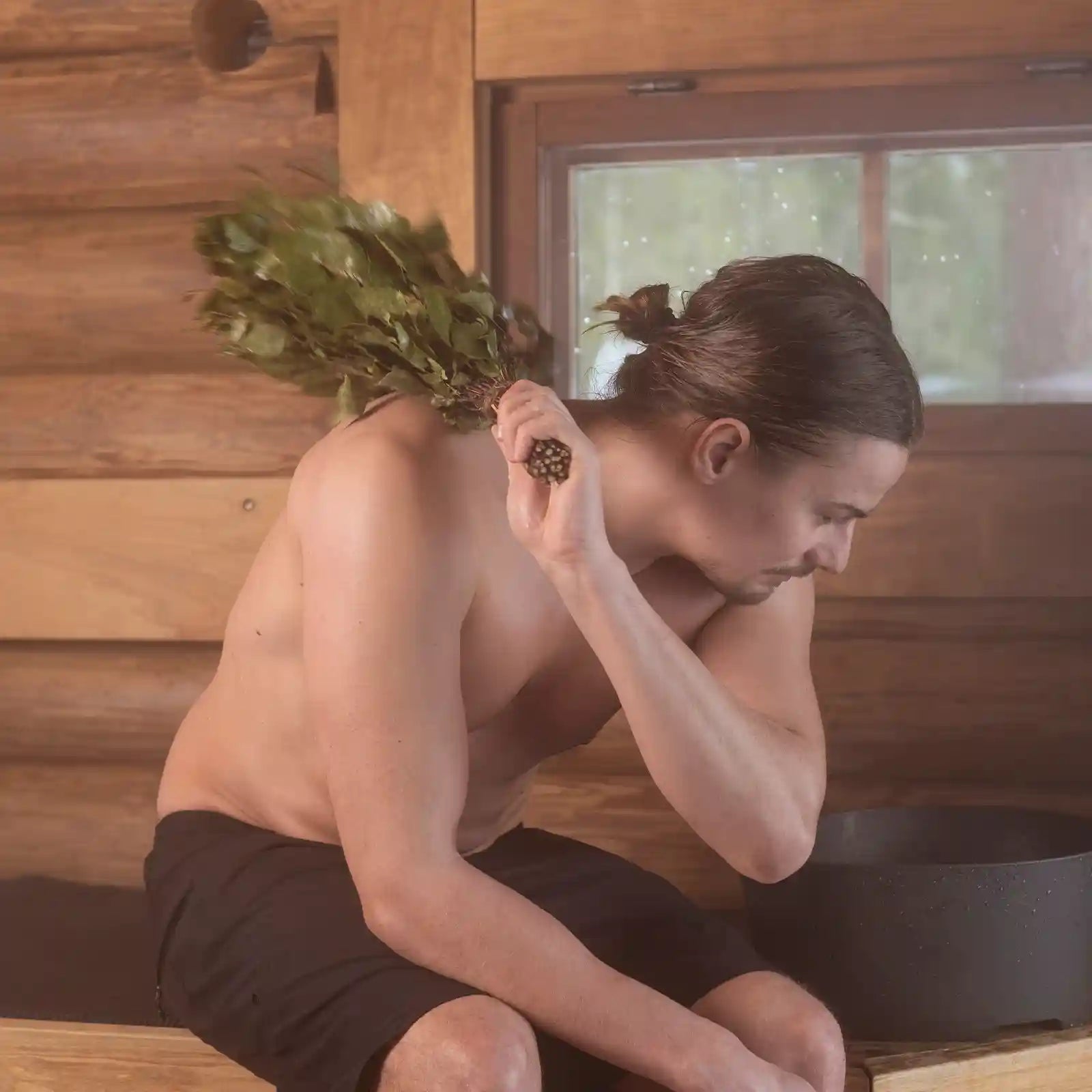 Birkenreisig getrocknet Wenik