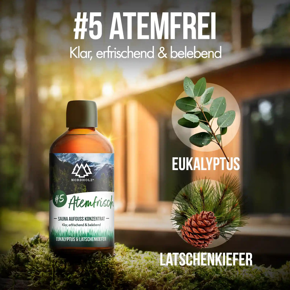 Sauna Aufguss Konzentrat #5 Atemfrisch 15 ml Probiergröße Duftprofil
