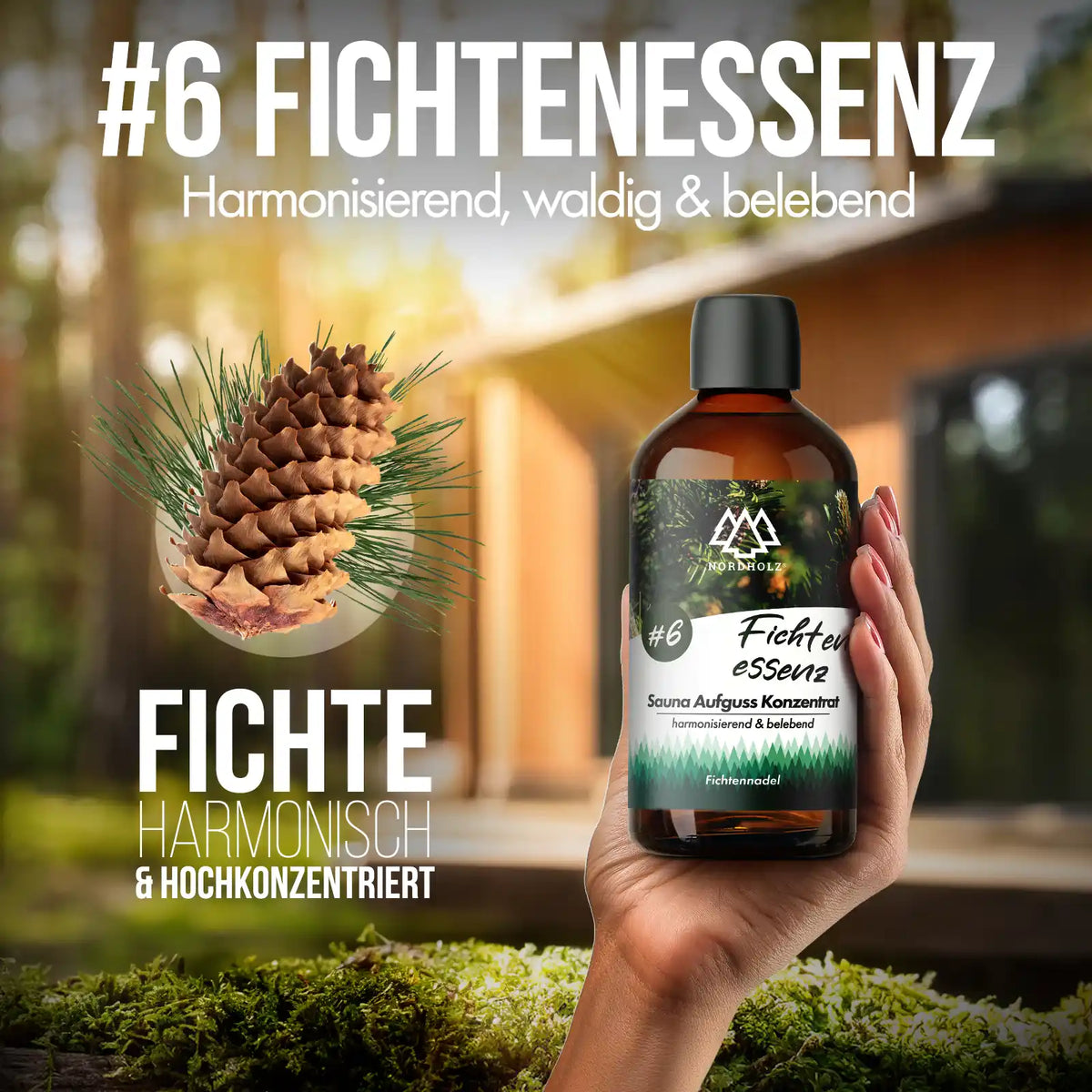 Sauna Aufguss Konzentrat #6 Fichtenessenz 15 ml Probiergröße Duftprofil