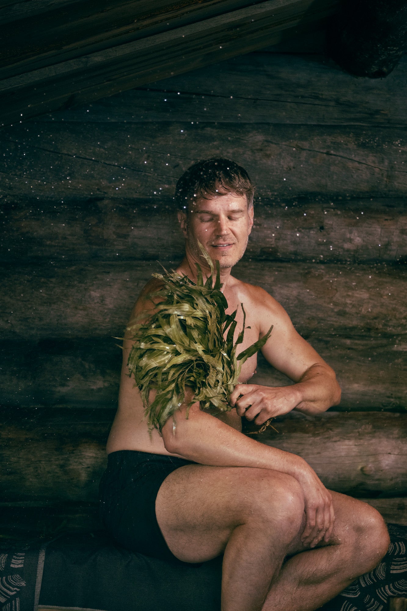 Birkenreisig getrocknet Wenik